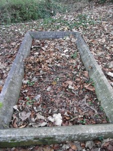 grave covered in leaves